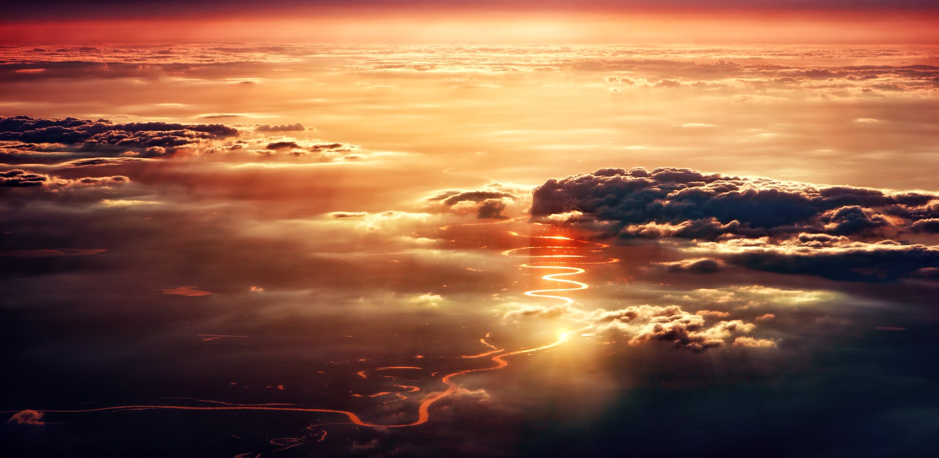 aerial photo of amazon river